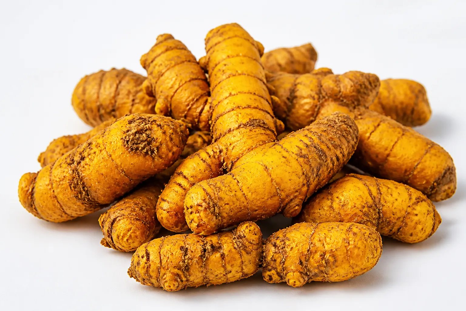 Close-up of vibrant golden-yellow Lakadong turmeric roots freshly harvested, showing their intense natural color and potent appearance